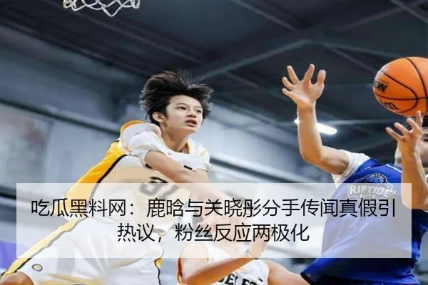 chi-gua-hei-liao-wang-lu-han-yu-guan-xiao-tong-fen-shou-chuan-wen-zhen-jia-yin-re-yi-fen-si-fan-ying-liang-ji-hua-2-859.jpg