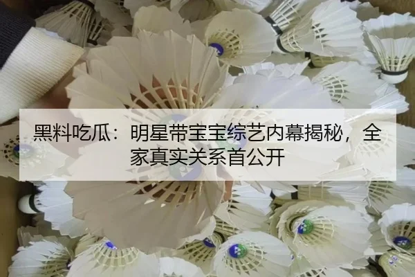 hei-liao-chi-gua-ming-xing-dai-bao-bao-zong-yi-nei-mu-jie-mi-quan-jia-zhen-shi-guan-xi-shou-gong-kai-2-219.jpg